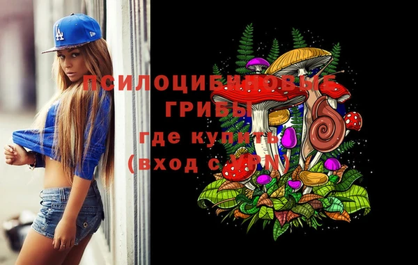 ГАЛЛЮЦИНОГЕННЫЕ ГРИБЫ Нефтекумск