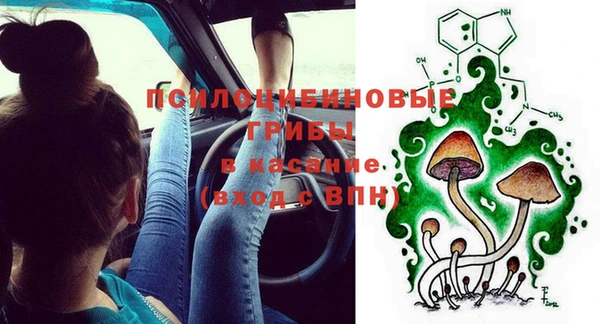 СК Нефтегорск