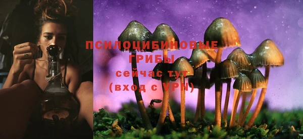 СК Нефтегорск