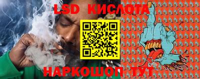 PSILOCYBIN Гусиноозёрск