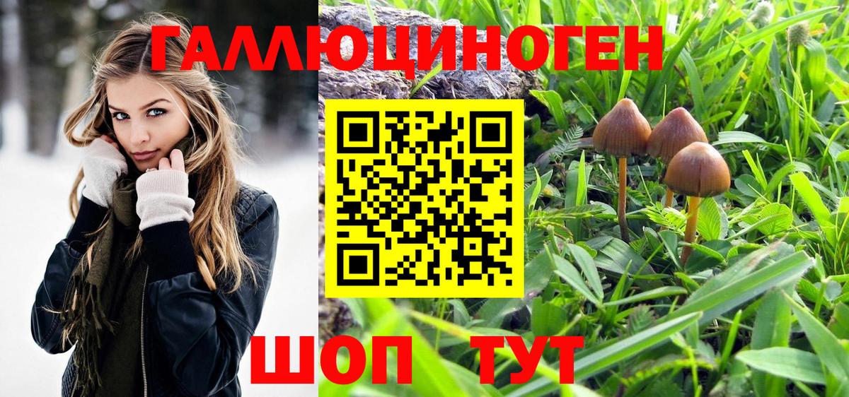 Саки  Галлюциногенные грибы MAGIC MUSHROOMS  Вход с VPN  Псилоцибиновые грибы Magic Shrooms 