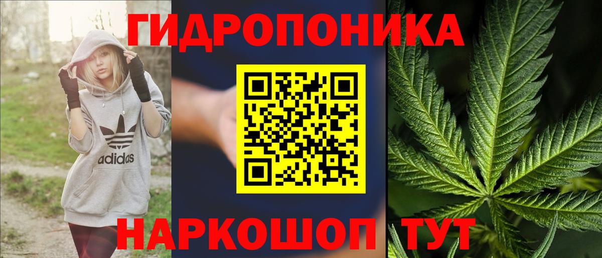 Шишки марихуана планчик  Вход с VPN  Саки  Конопля OG Kush  Шишки марихуана индика  Канабис семена 